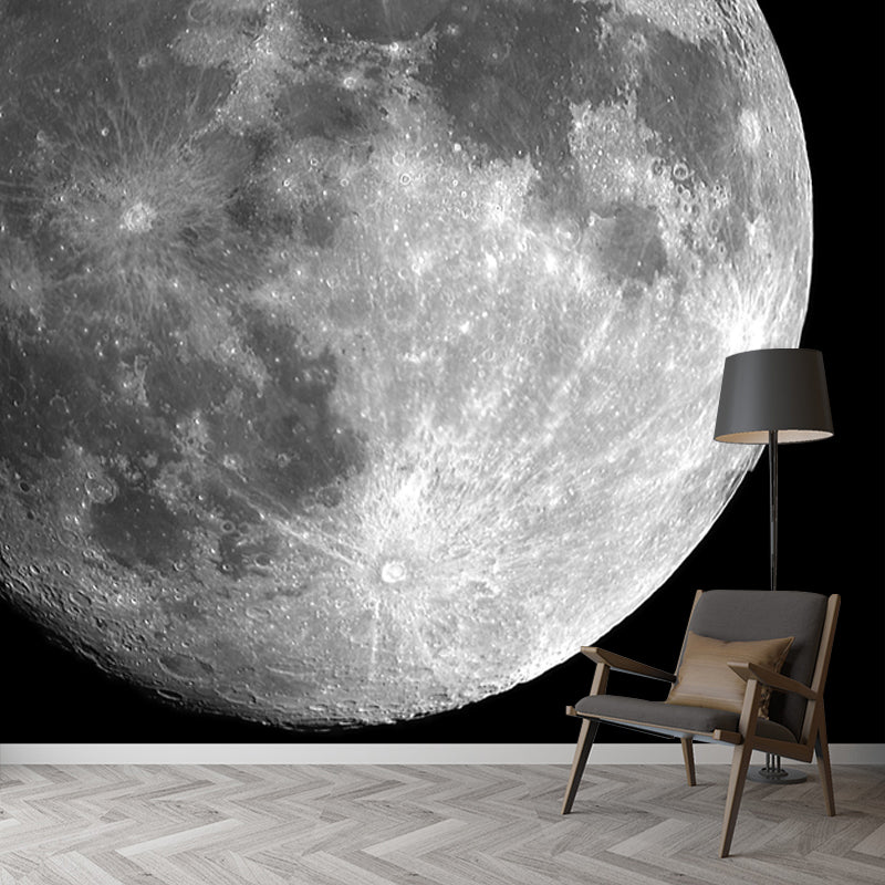 Planet Mercury Wall Paper Mural Black-Grey-White Contemporary Wall Decor for Home Clearhalo 'Wall Decor' 'Wall Mural' 1785760