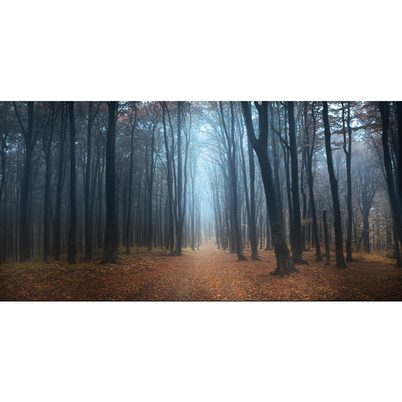 Misty Forest Landscape Wallpaper Mural Contemporary Smooth Wall Covering in Dark Color Clearhalo 'Wall Decor' 'Wall Mural' 1895846