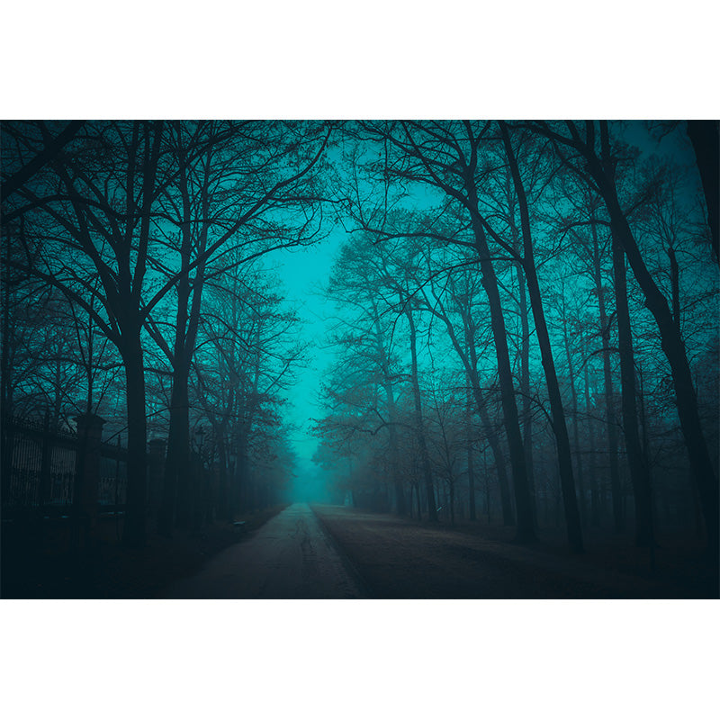 Photographic Misty Forest Wall Mural Big Wall Decor for House Interior, Custom Size Clearhalo 'Wall Decor' 'Wall Mural' 1895906