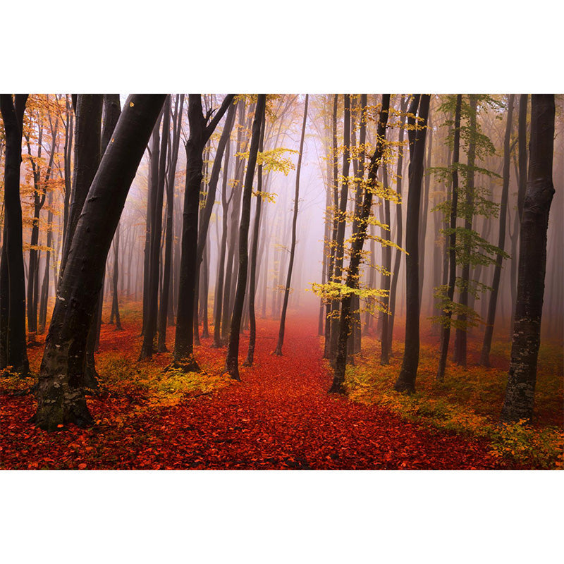 Whole Autumn Forest Mural Modern Mysterious Scenery Wall Art in Dark Color for Home Clearhalo 'Wall Decor' 'Wall Mural' 1895936