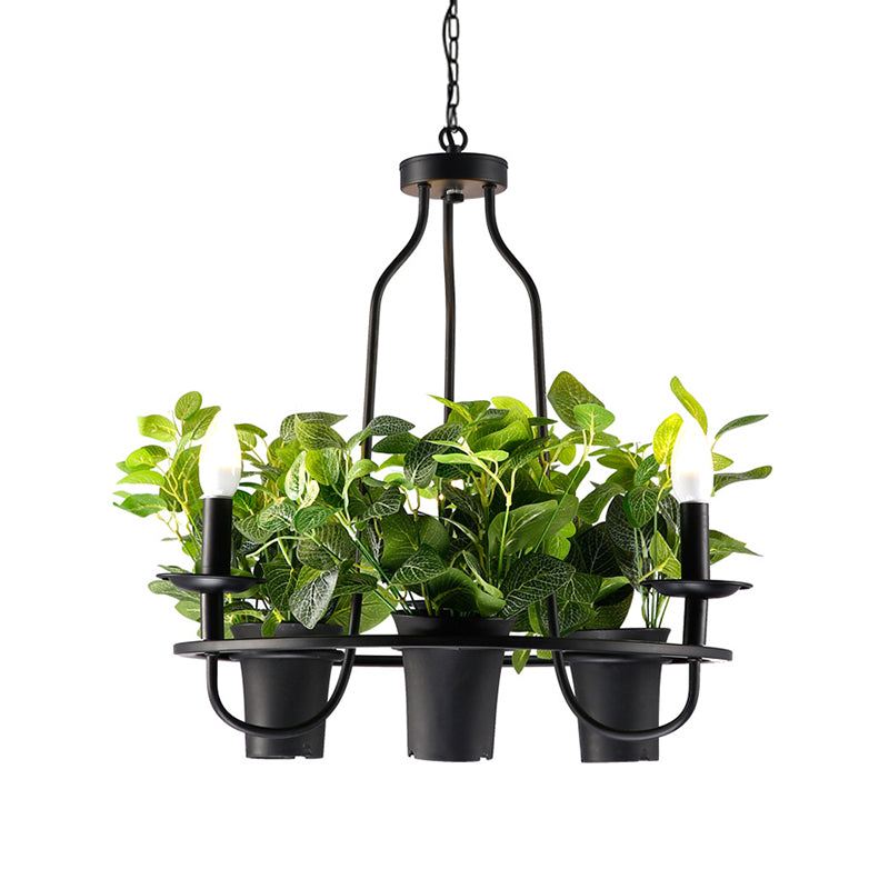 3/6 Bulbs Bonsai Ceiling Chandelier Vintage 1/2-Layer Iron Pendant Light in Black, 19.5