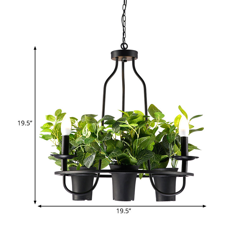 3/6 Bulbs Bonsai Ceiling Chandelier Vintage 1/2-Layer Iron Pendant Light in Black, 19.5