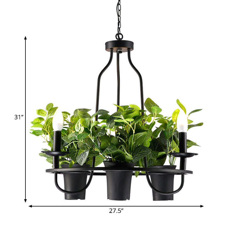 3/6 Bulbs Bonsai Ceiling Chandelier Vintage 1/2-Layer Iron Pendant Light in Black, 19.5