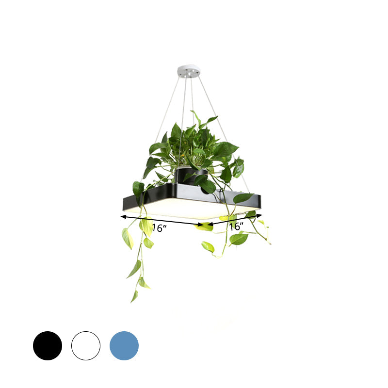 Square Restaurant Ceiling Pendant Nordic Acrylic Black/White/Blue LED Hanging Lamp Kit with Plant Container, 16