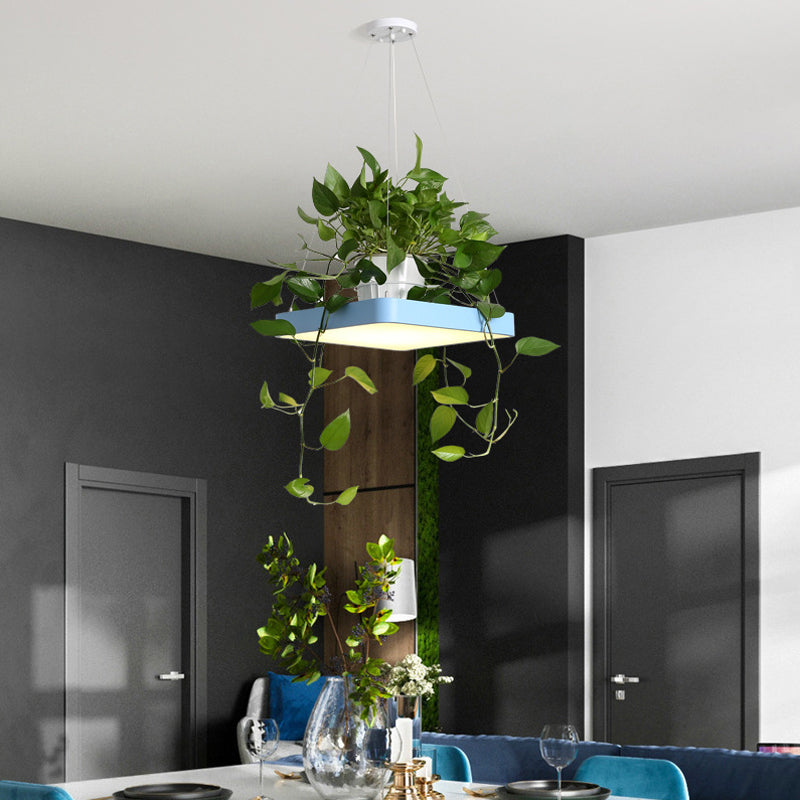 Square Restaurant Ceiling Pendant Nordic Acrylic Black/White/Blue LED Hanging Lamp Kit with Plant Container, 16