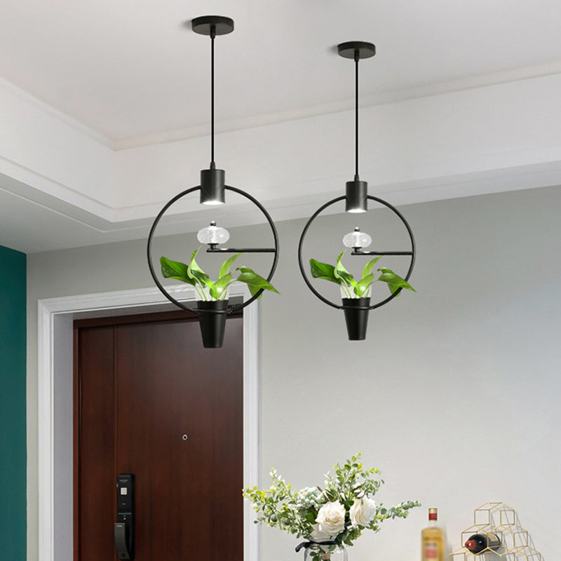 Metal LED Pendulum Light Loft Black/Gold Circle/Oval/Rectangle Dining Room Pendant Lamp with Plant Container Black Round Clearhalo 'Art Deco Pendants' 'Black' 'Cast Iron' 'Ceiling Lights' 'Ceramic' 'Crystal' 'Industrial Pendants' 'Industrial' 'Metal' 'Middle Century Pendants' 'Pendant Lights' 'Pendants' 'Rustic Pendants' 'Tiffany' Lighting' 1911192