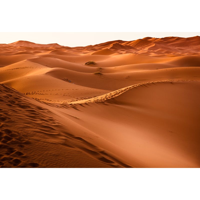 Modern Sahara Sand Dunes Mural Yellow Moisture Resistant Wall Decor for House Interior Clearhalo 'Wall Decor' 'Wall Mural' 1920693