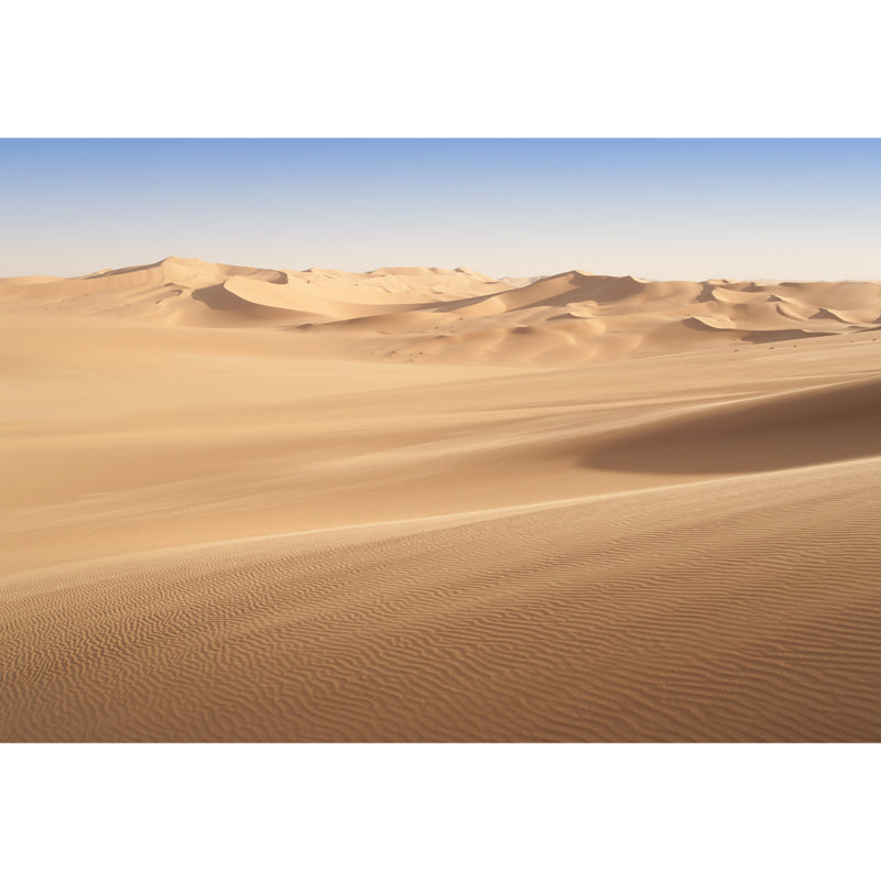 Photography Sand Dunes Scene Mural Whole Wall Decor for Living Room, Custom Printed Clearhalo 'Wall Decor' 'Wall Mural' 1920708