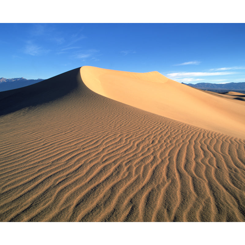 Modern Desert Wall Mural Decal Yellow Split View of the Dune Wall Covering for Accent Wall Clearhalo 'Wall Decor' 'Wall Mural' 1920743