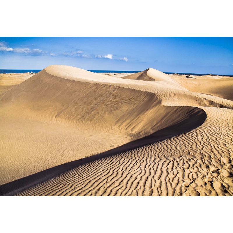 Coastal Desert Dune Wall Mural Yellow and Blue Modernism Wall Art for Family Room Clearhalo 'Wall Decor' 'Wall Mural' 1920773