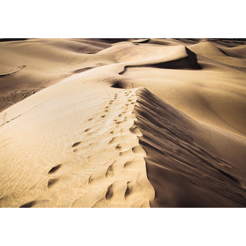 Photography Sand Dune Ridge Mural Wallpaper Large Wall Decor, Custom Size Available Clearhalo 'Wall Decor' 'Wall Mural' 1920783