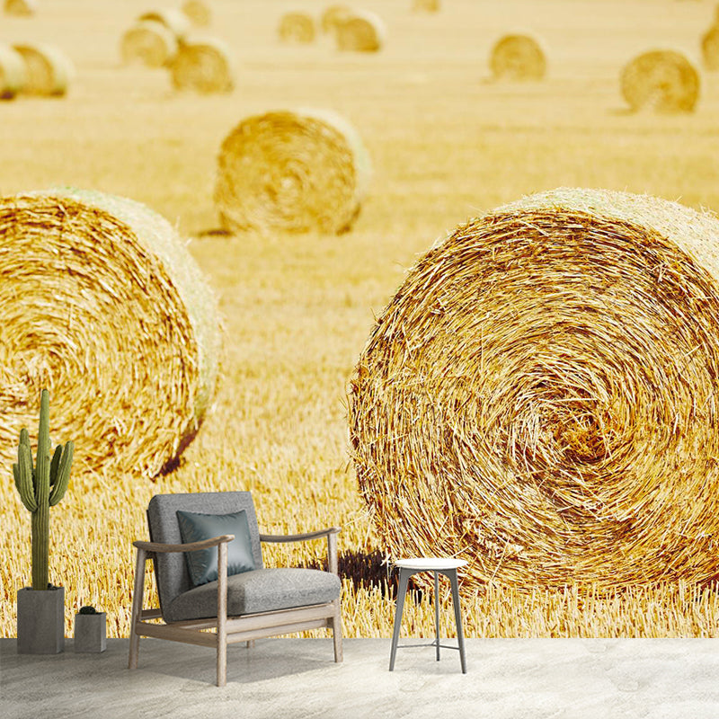 Vast Cornfield Wall Mural Contemporary Decorative Kitchen Wall Art, Custom Size Available Clearhalo 'Wall Decor' 'Wall Mural' 1957462