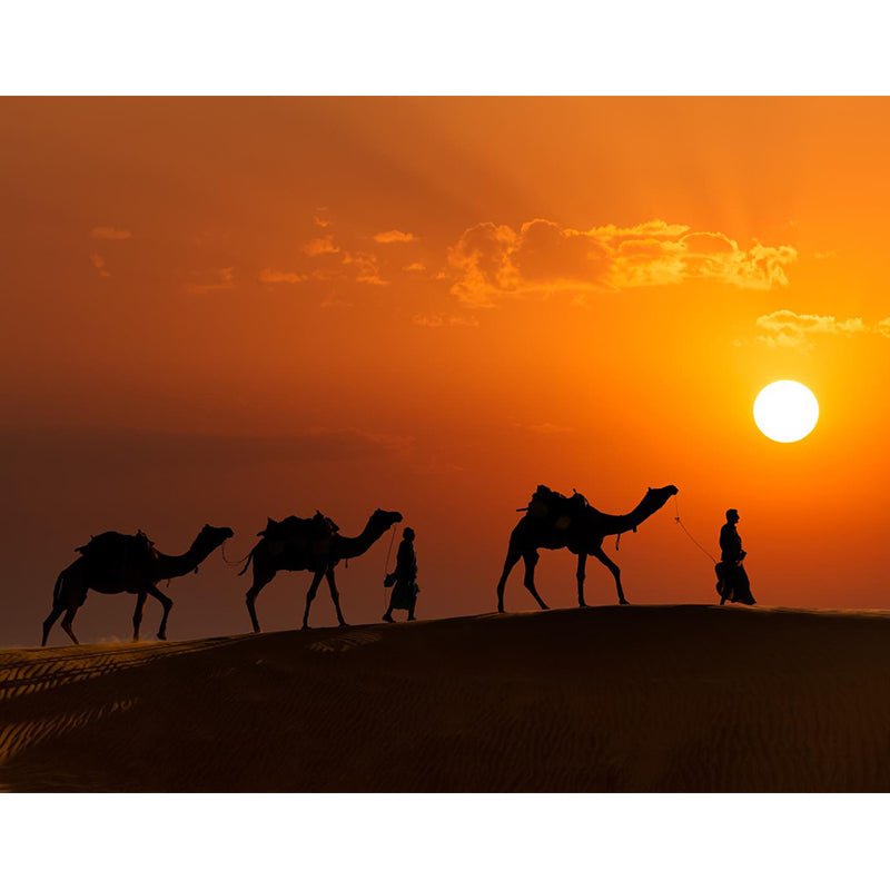 Custom Photo Print Modern Mural with Ship of the Desert Camel Pattern in Nature Color Clearhalo 'Wall Decor' 'Wall Mural' 2009411