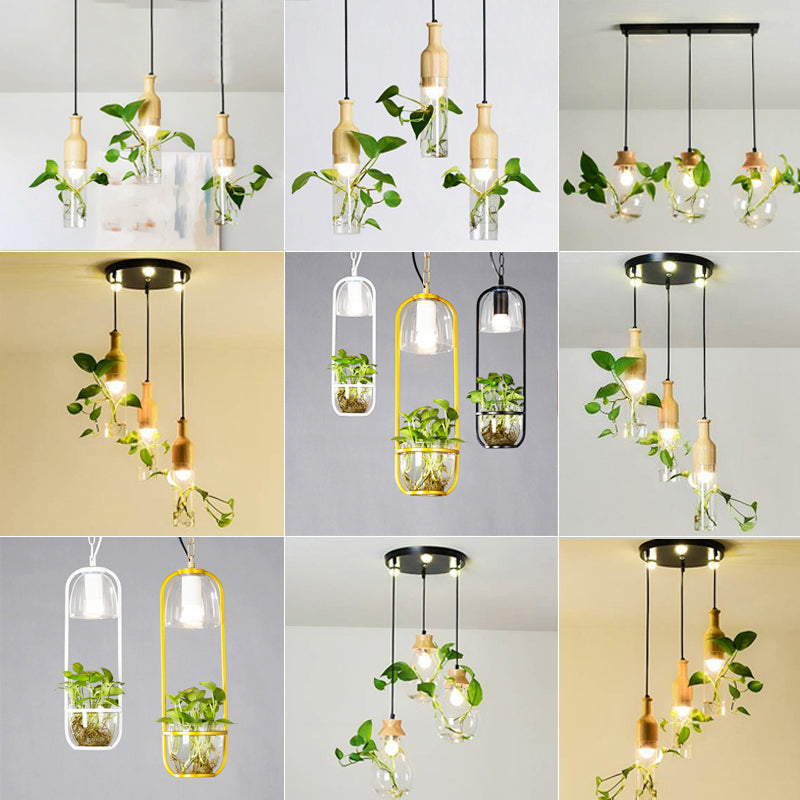 Planter Hanging Lamp Contemporary Clear Glass 1-Light Study Room Lighting Pendant Clearhalo 'Art Deco Pendants' 'Black' 'Cast Iron' 'Ceiling Lights' 'Ceramic' 'Crystal' 'Industrial Pendants' 'Industrial' 'Metal' 'Middle Century Pendants' 'Pendant Lights' 'Pendants' 'Rustic Pendants' 'Tiffany' Lighting' 2064006