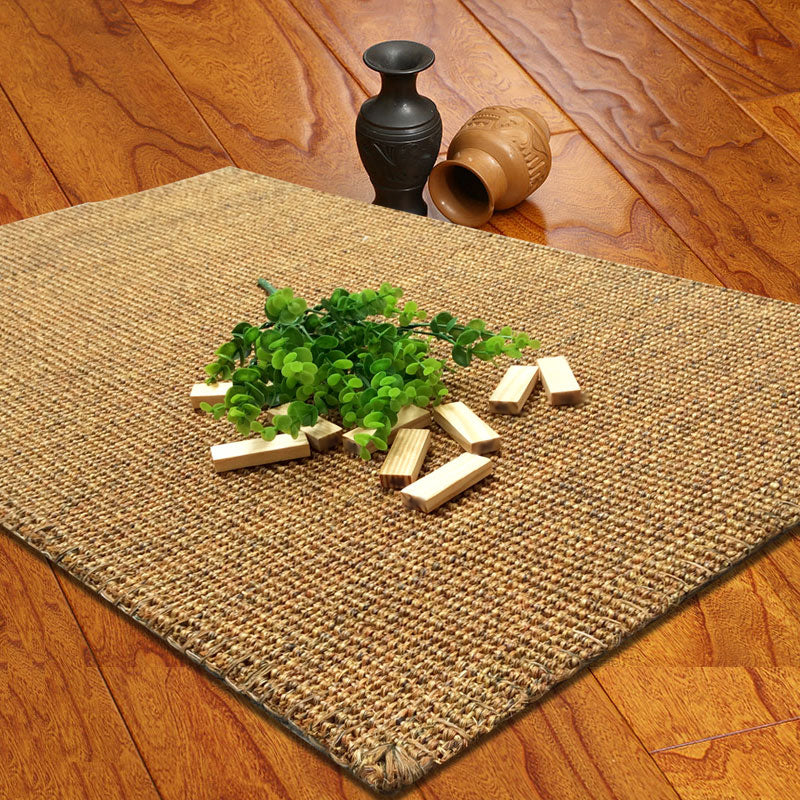 Cottage Solid Color Rug Gray Khaki Sisal Indoor Rug Non-Slip Backing Machine Washable Pet Friendly Area Carpet for Living Room Gray-Khaki Clearhalo 'Area Rug' 'Rug' 2317827