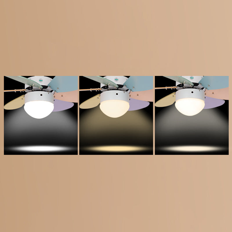 Acrylic Dome Remote Pendant Fan Lamp Macaron 30