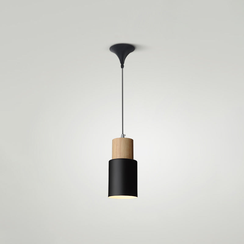 Indoor Nordic Pendant Light Modern Simple Creative Single Pendant Light for Restaurant Coffee Shop Black 4