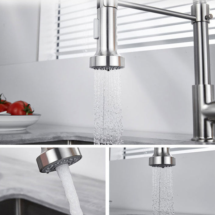 1-Handle Faucets with Water Dispenser Spring Spout Standard Kitchen Faucets Clearhalo 'Home Improvement' 'home_improvement' 'home_improvement_kitchen_faucets' 'Kitchen Faucets' 'Kitchen Remodel & Kitchen Fixtures' 'Kitchen Sinks & Faucet Components' 'kitchen_faucets' 6467075