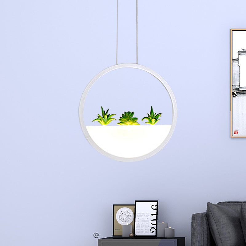 Circular Bedside Pendant Modernist 11