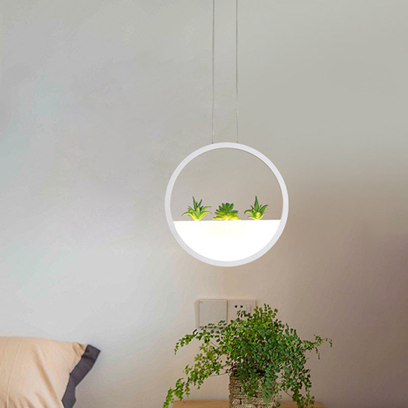 Circular Bedside Pendant Modernist 11