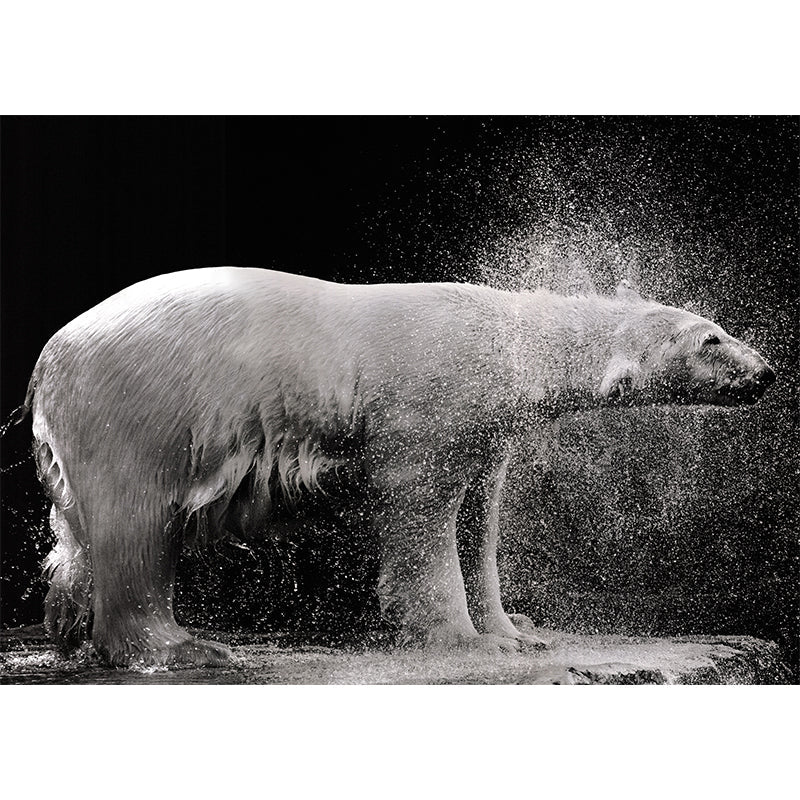 Cool Polar Bear Wall Covering for Living Room, Dark, Custom Size Available Clearhalo 'Wall Decor' 'Wall Mural' 930915