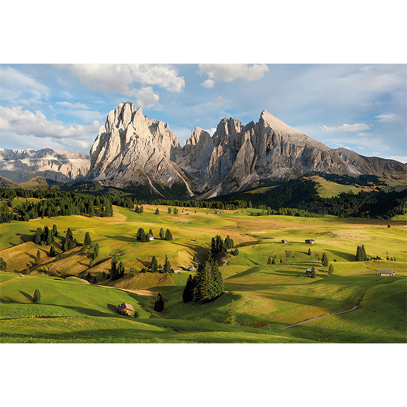 Photo Mountain and Grass Mural Extra Large Wall Art for Guest Room, Custom-Printed Clearhalo 'Wall Decor' 'Wall Mural' 962612