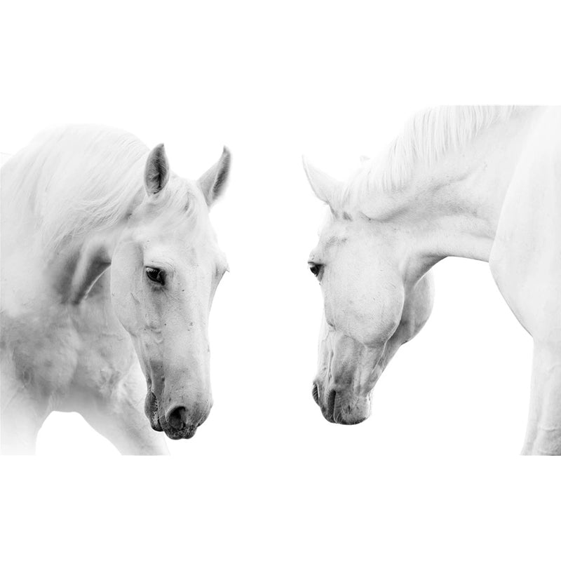 Horse Mural Wallpaper in Black and White, Minimalist Wall Art for Guest Room Decor Clearhalo 'Wall Decor' 'Wall Mural' 977877