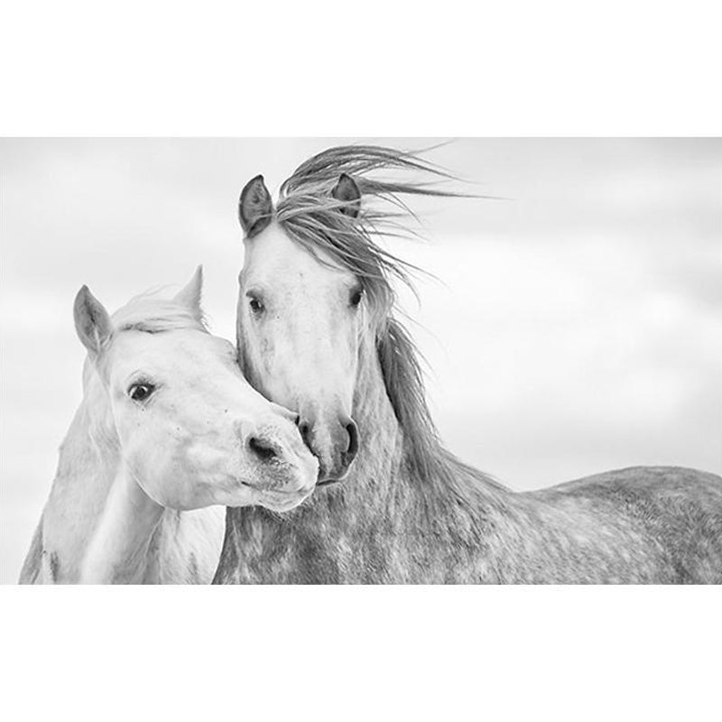 Whole Horse Wall Mural for Gallery Decoration Stain-Resistant Wall Art in Black and White, Made to Measure Clearhalo 'Wall Decor' 'Wall Mural' 977882