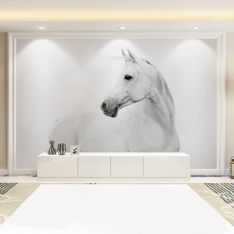 Custom Photography Simple Wall Mural for Living Room Decor with Horse Pattern in Black and White Clearhalo 'Wall Decor' 'Wall Mural' 977886