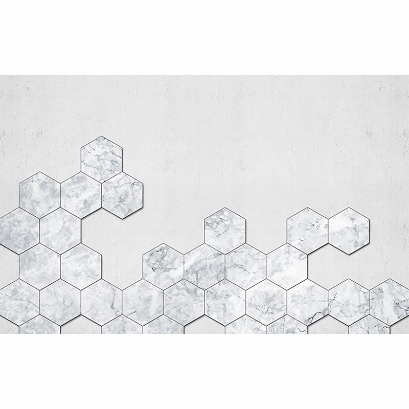 Photography Hexagon Wall Mural Decal for Accent Wall in White, Personalized Size Available Clearhalo 'Wall Decor' 'Wall Mural' 978789