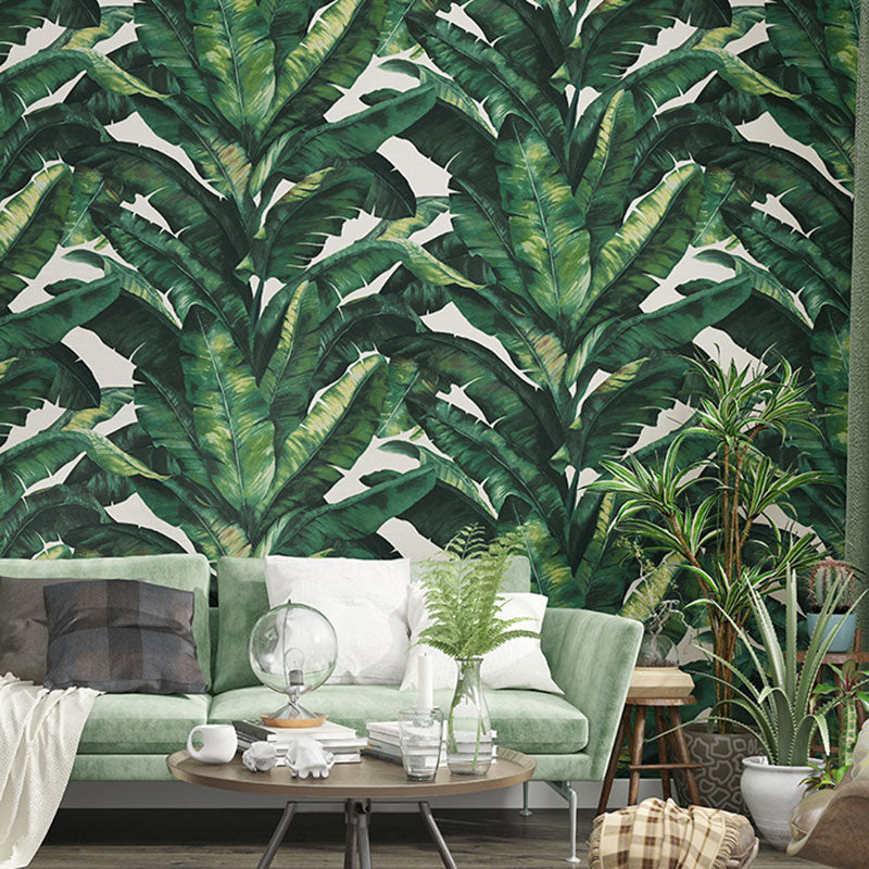 Tropical Banana Leaf Wall Covering for Accent Wall Contemporary Wallpaper, 33' by 20.5