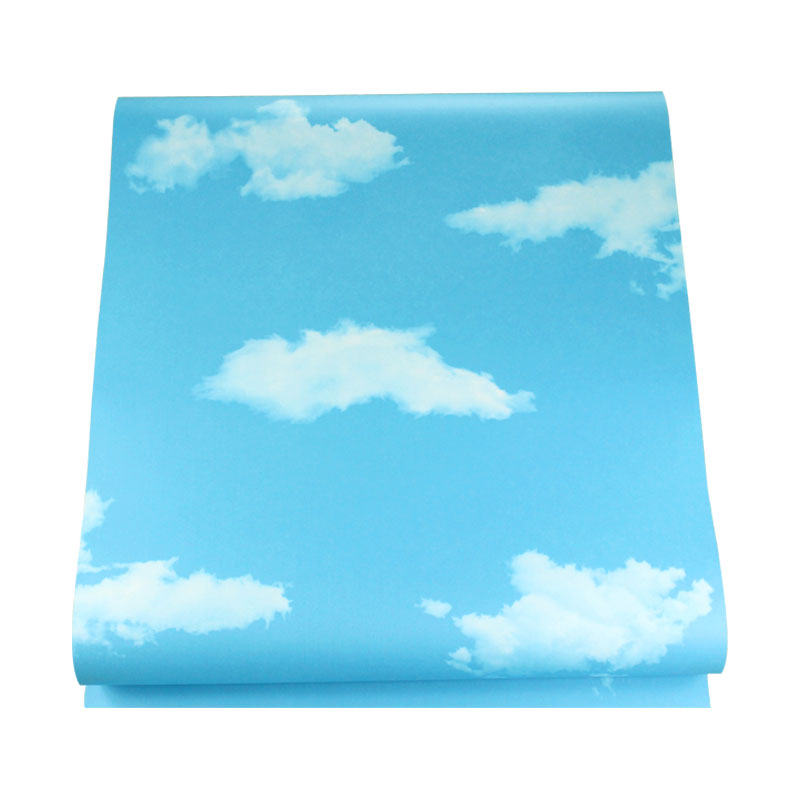 Waterproofing Cloud Wall Covering 31'L x 20.5